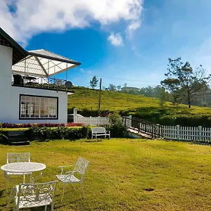 The Tea Garden , Nuwara Eliya Sri Lanka